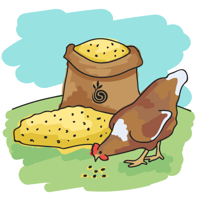 Illustration of a hen pecking some feed